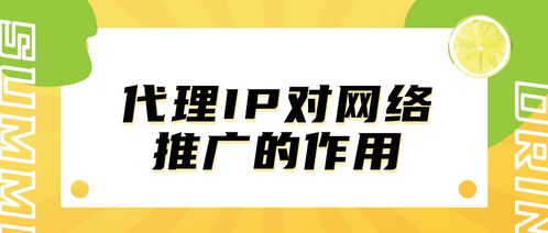 代理IP在网络推广中的关键作用
